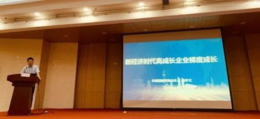 中国企业咨询业的标杆 长城战略咨询引领产业与区域发展新篇章