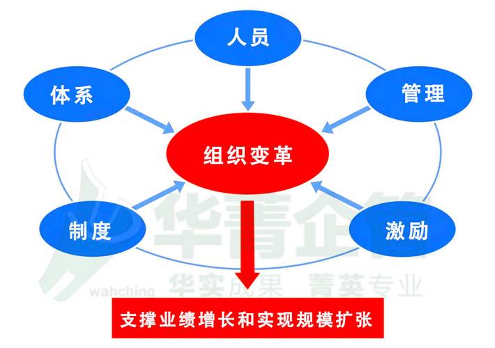 国内医药企业管理咨询公司梯队盘点 谁在组织优化落地层面真正“能打”？